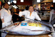Récord en Tokio: atún de 243 kilos se vendió por millones de dólares en subasta