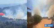 Dos casas destruidas y otra con daños dejó incendio forestal que azotó a Laguna Verde en Valparaíso
