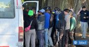 Descubren a 15 extranjeros irregulares realizando labores agrícolas en fundo Altue de Osorno