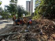 Jornadas integrales de limpieza, poda y desagüe en zonas de Valencia