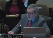 En la OEA /Uruguay planteo su preocupación por la intervención en Venezuela