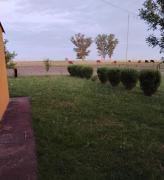 Seis árboles que valen más de lo que parecen