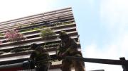 Incendio en edificio del centro de Guayaquil movilizó a 80 bomberos y afectó a dos vehículos