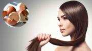 Cómo fortalecer el cabello usando una mezcla con cáscara de huevo: pasta casera efectiva