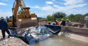 La obra clave y el plan del Gobierno para garantizar el agua a los albardoneros tras la rotura del canal