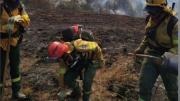 Vidal coordina operativo para combatir el incendio forestal