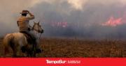 El Banco Nación lanza créditos especiales para productores afectados por los incendios