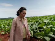 Todo sobre “HUMO”, el documental de Lucía Salinas que expone el negocio detrás del contrabando de cigarrillos