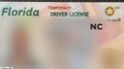 Marcados en la licencia: Florida busca añadir el sello 'NC' a los documentos de extranjeros