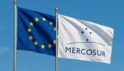 La Unión Europea aprobó el acuerdo de libre comercio con el Mercosur tras 25 años