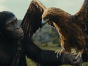 El planeta de los simios