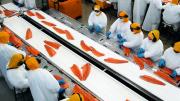 Salmón se consolida como el segundo producto más exportado del país en 2025