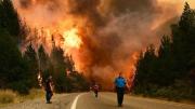 Incendios arrasan miles de hectáreas en Patagonia