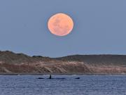 Pícnic de luna llena en Puerto Madryn