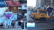 Carruaje a caballo desafía el tráfico vehicular en Nueva York; terminó mal