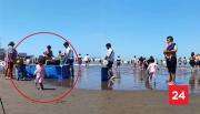 Una piscina a la orilla de la playa: la extraña situación ocurrida en Argentina