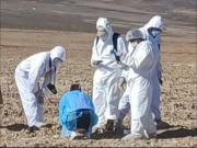 Investigan hallazgo de restos óseos en San Pedro de Challacollo