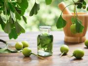 Cuál es la antigua planta que ayuda a fortalecer la memoria: dónde crece y cómo se usa correctamente