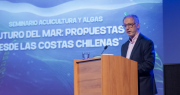 Algas nativas se consolidan como eje estratégico para una nueva bioeconomía azul en Chile