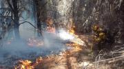 Intensifican el operativo para combatir el incendio forestal en el Parque Los Alerces