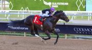 Junior Alvarado gana su primer Stakes de 2026 en Gulfstream Park