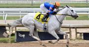 ¡Ahora sí!: White Abarrio con Irad Ortiz Jr., ejercitó finito para la Pegasus World Cup G1 de 3 millones de dólares