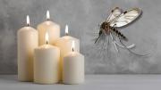 Cómo hacer velas caseras para ahuentar a los mosquitos