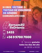 SernamEG interpone querella por grave caso de violencia de género en Puerto Aysén