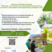 Invitan a productores de la comuna de Aysén a capacitarse en sistemas hidropónicos