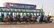 ¿A quién apostar? La tendencia histórica favorece a los ejemplares de esta edad en la Pegasus World Cup