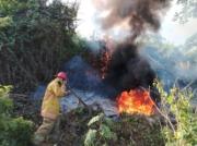 Extinguidos dos incendios en Juan José Mora este 20-Ene