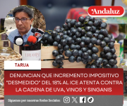 Denuncian que incremento impositivo desmedido del 18% al ICE atenta contra la cadena de uva, vinos y singanis