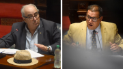 Entre “¡mentiroso!” y “parece que hablo en japonés”: el tenso cruce entre Da Silva y Fratti en el Parlamento