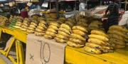 El plátano duplica su valor en Maracaibo