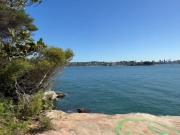 Australia: murió un chico de 12 años tras ser atacado por un tiburón mientras jugaba en el agua con sus amigos