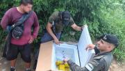 Un freezer al hombro y 31 kilos de cocaína: así intentó cruzar la frontera desde Bolivia