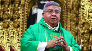 Obispo Arana llama a vivir en la esperanza y unidad por el desarrollo del país
