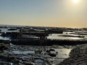¡En fotos! Atardecer en La Lobería: marea baja, piletones naturales y una postal del verano rionegrino