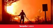 El fuego no da tregua y se reactivaron focos en el Parque Nacional Los Alerces