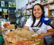 Alimentos para gatos lideran la demanda en tiendas de mascotas