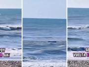 Lo voy a dejar ahí para que aprenda: denuncian a un guardavidas que se negó a socorrer a un kayakista en Villa Gesell