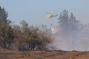 Incendio forestal en Lo Fontecilla, Lampa: 13 hectáreas consumidas y alta propagación