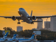 Se desplomó el ingreso de extranjeros al país