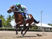 Gulfstream Park: Mythical del entrenador venezolano Jorge Delgado está lista para conquistar el Forward Gal Stakes (G3) por $175 mil