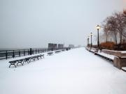 Por qué los árboles explotan del frío extremo en Estados Unidos