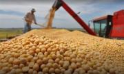Gobierno elimina trabas a la exportación de soya