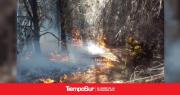 En medio de los incendios, el Gobierno gira $ 120.000 millones a los bomberos