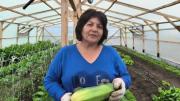 Florinda Muñoz, la horticultora fueguina que duplicó su producción gracias al apoyo estatal