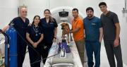 Canela recibirá una prótesis mandibular y será la primera en Paraguay