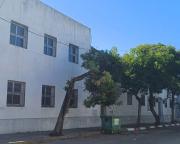 Ramas que caen /El riesgo de algunos árboles